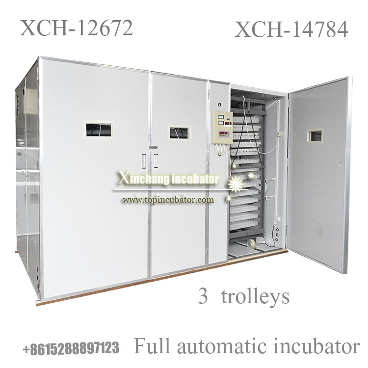 14784 chicken eggs incubator 14784 chicken eggs incubator