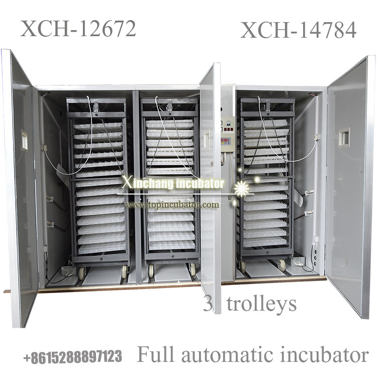 14784 chicken eggs incubator