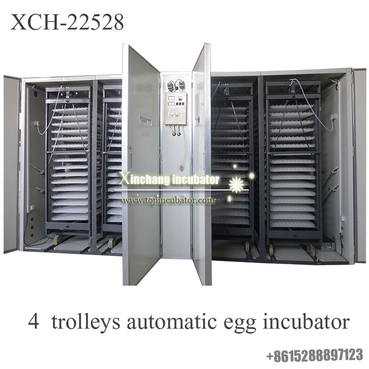 22528 chicken eggs incubator
