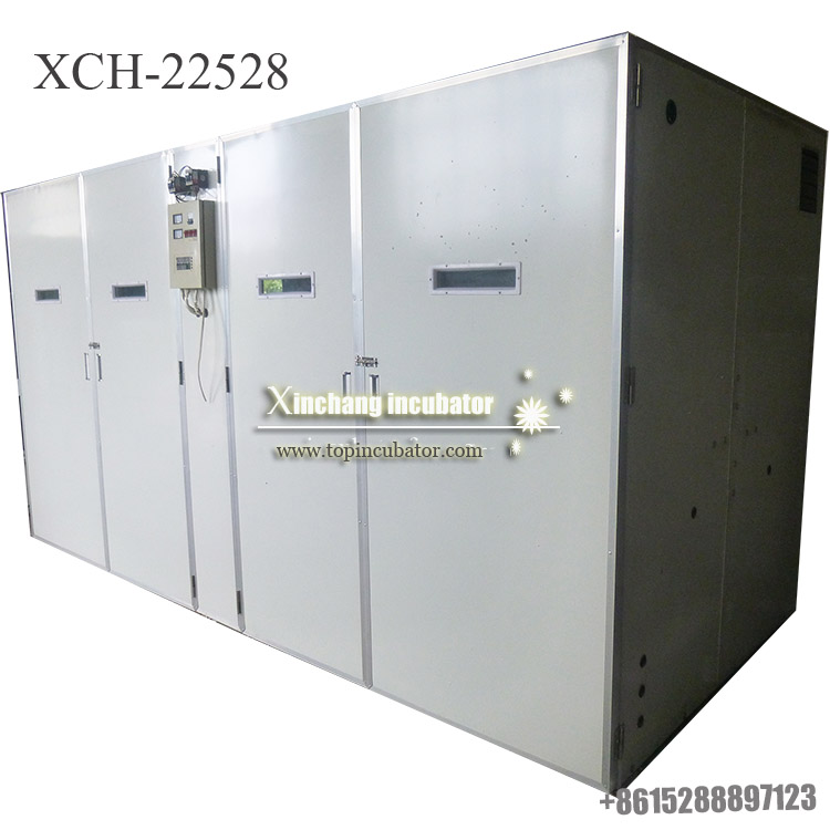 22528 chicken eggs incubator