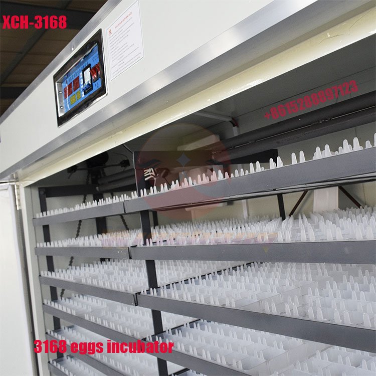 3168 eggs chicken incubator