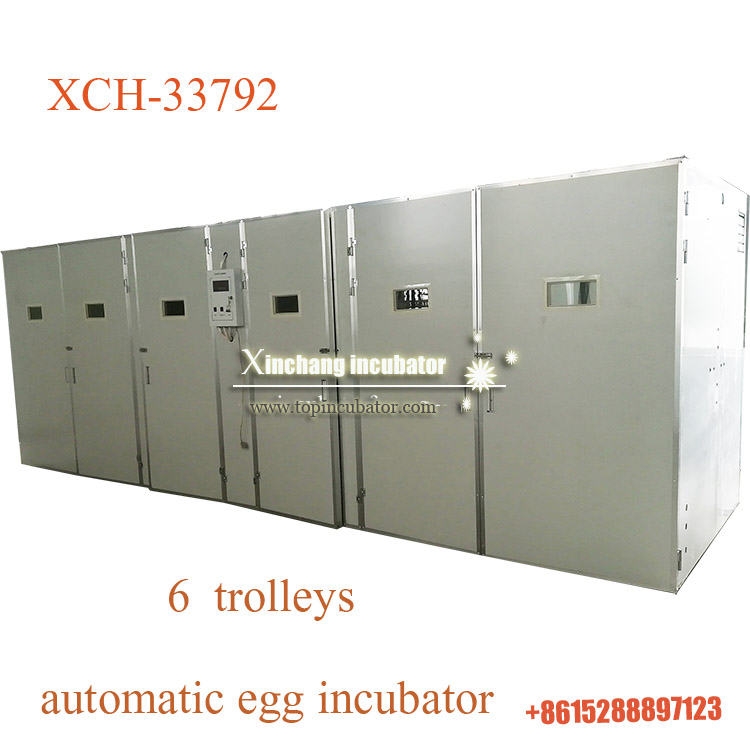 33792 chicken eggs incubator
