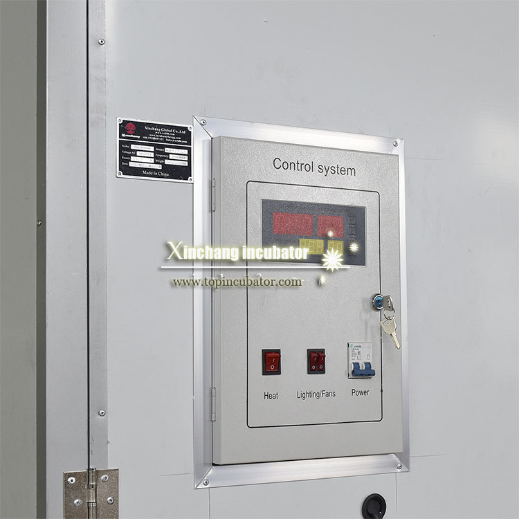 50688 chicken eggs incubator