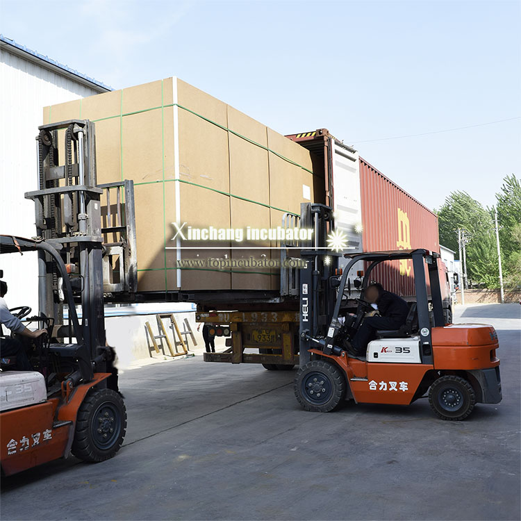 50688 chicken eggs incubator