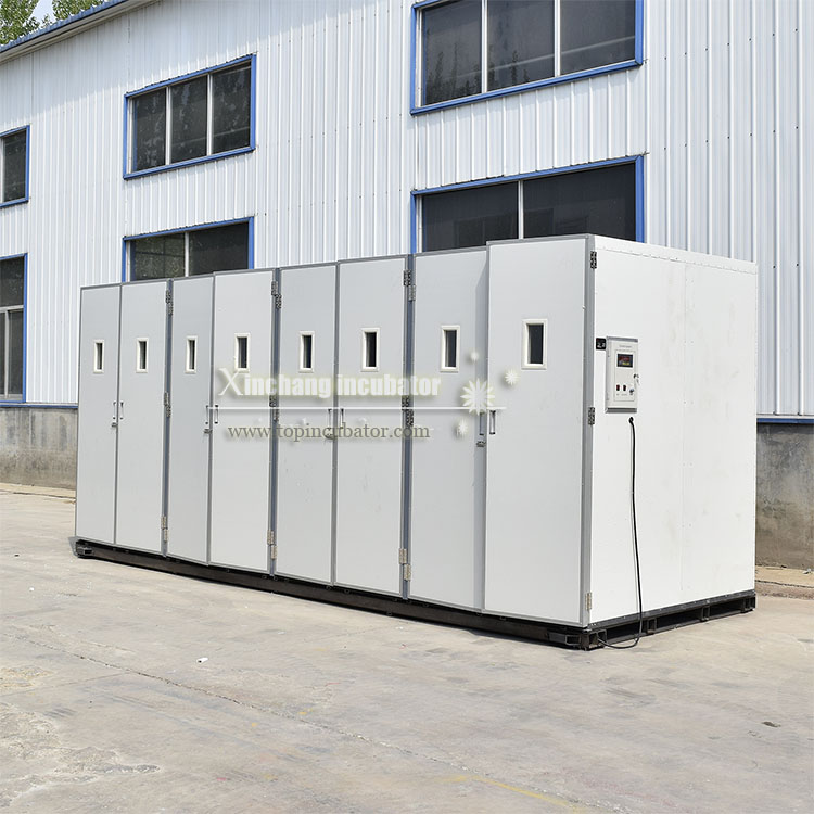 50688 chicken eggs incubator