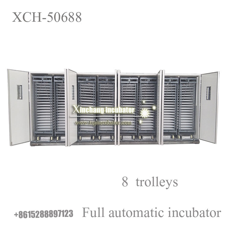 50688 chicken eggs incubator