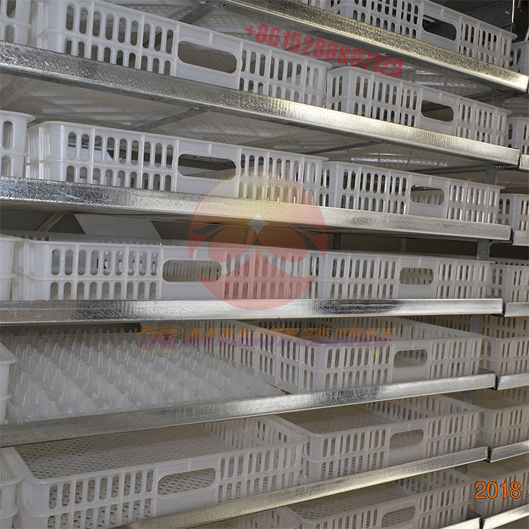 5280 eggs chicken egg incubators