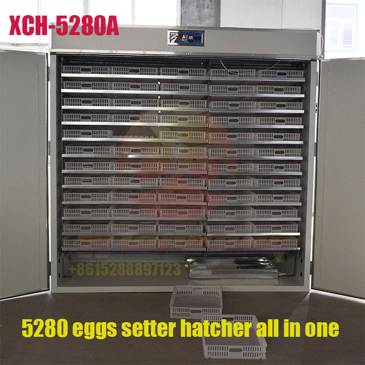 5280 eggs chicken egg incubators