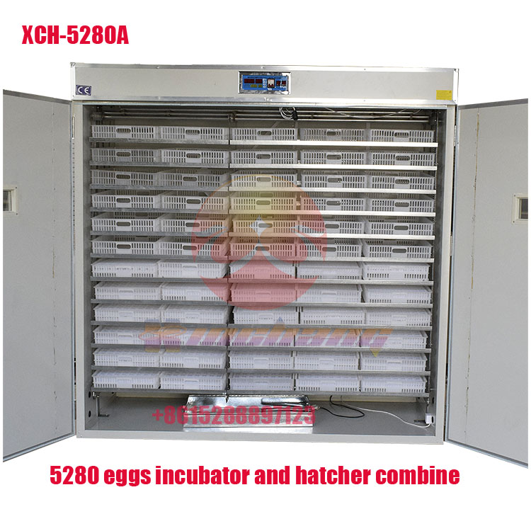5280 eggs chicken egg incubators