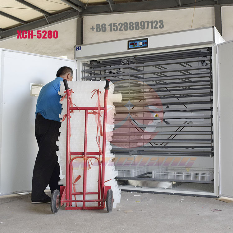 5280 eggs chicken egg incubators