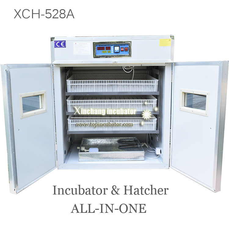 528 eggs chicken incubator