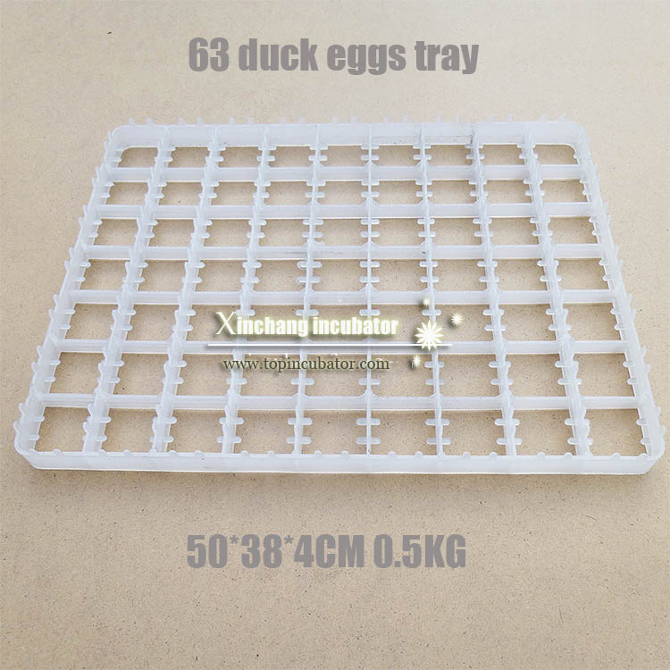 63 duck eggs tray