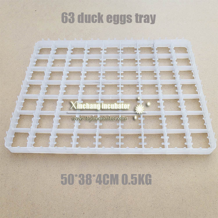 63 duck eggs tray 63 duck eggs tray