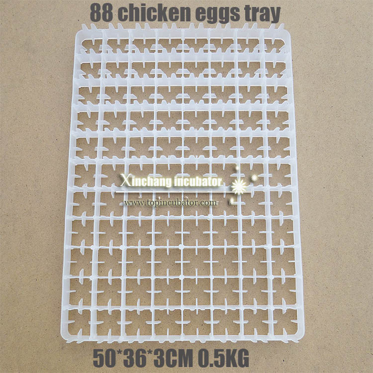 88 chicken eggs tray