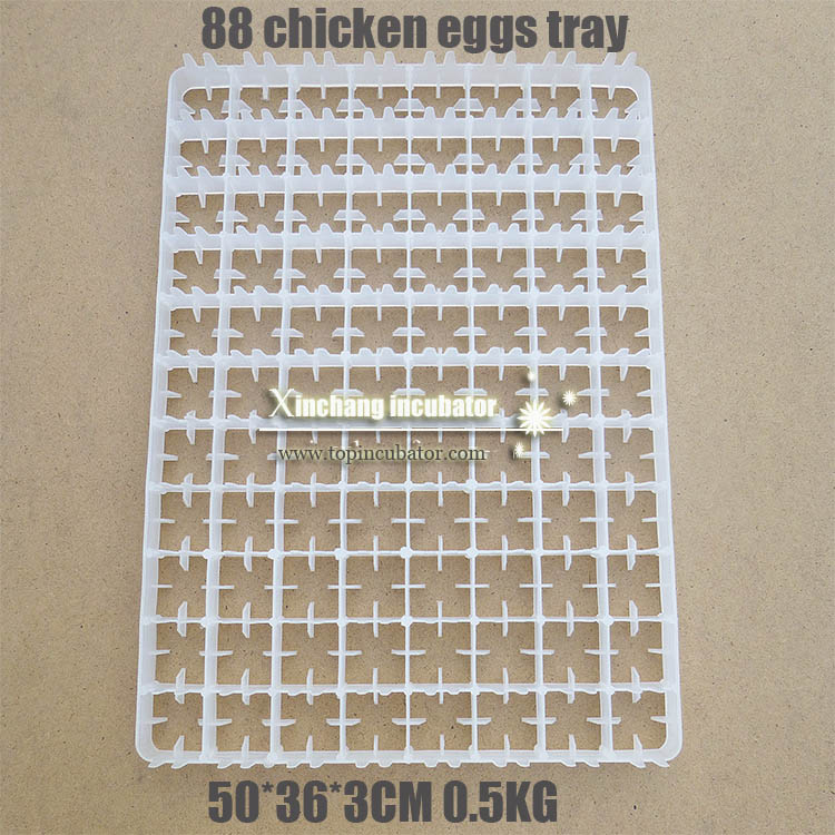 88 chicken eggs tray 88 chicken eggs tray