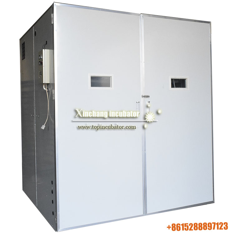 9856 chicken eggs incubator